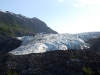 Exit Glacier II